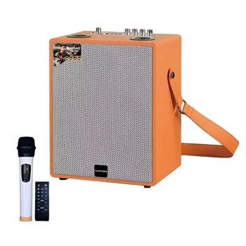 Haut-parleur caisson de basses portable - QS-640 - 889756