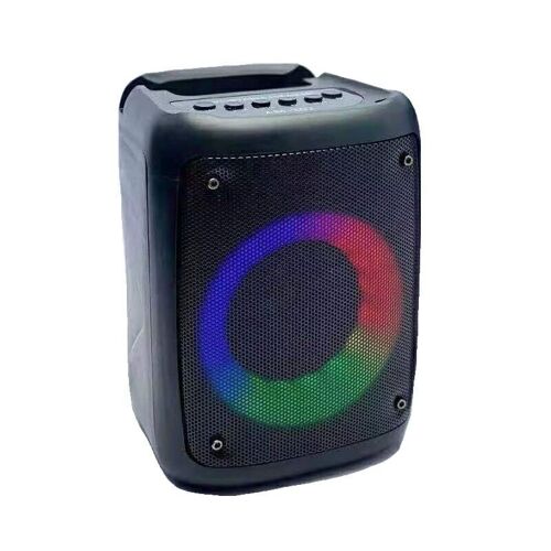 Portable mini subwoofer speaker - AM-302 - 883143