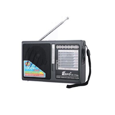 Wiederaufladbares Radio – FP-1775 – 017754 – Grau