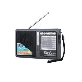 Radio rechargeable - FP-1775 - 017754 - Gris