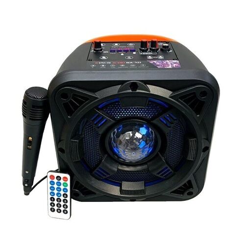 Portable subwoofer speaker - ALP813 - 890173
