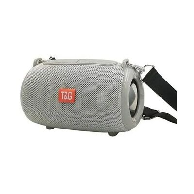 Wireless Bluetooth speaker - TG533 - 880769 - Grey
