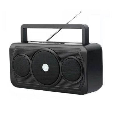 Radio rechargeable - V20SUN - 884522 - Noir