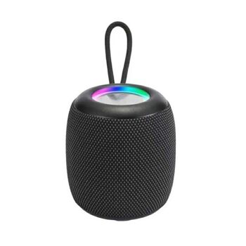 Haut-parleur Bluetooth sans fil - WS-309 - 884294 - Noir