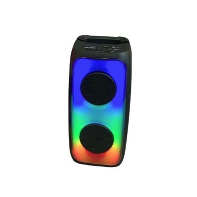 Portable subwoofer speaker - QS-2410 - 884119