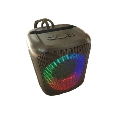 Haut-parleur Bluetooth sans fil - LM-896 - 824286 - Noir