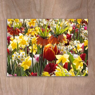 Postcard, Postkarte eye0524 Crown Imperials & Daffodils & Tulips