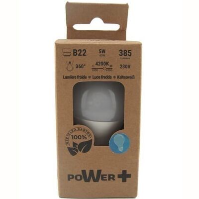 B22 5W 4200K LED bulb