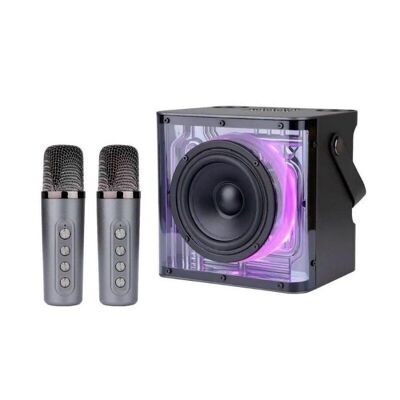 Altoparlante Bluetooth wireless con 2 microfoni karaoke - SK2062 - 820623 - Nero