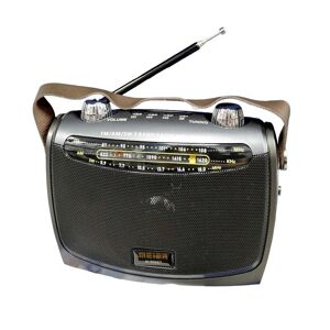 Radio rechargeable - M566 BT - 615665 - Gris