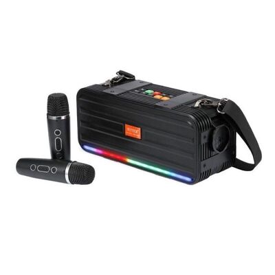 Altavoz Bluetooth inalámbrico con 2 micrófonos Karaoke - WS950 - 810248 - Negro