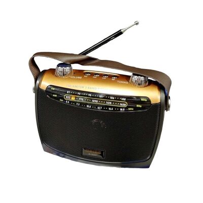 Radio recargable - M566 BT - 615665 - Oro