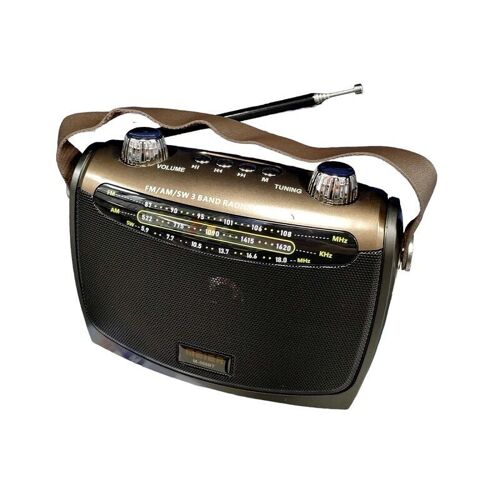Rechargeable Radio - M566 BT - 615665 - Brown