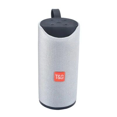Kabelloser Bluetooth-Lautsprecher – TG113 – 886779 – Grau