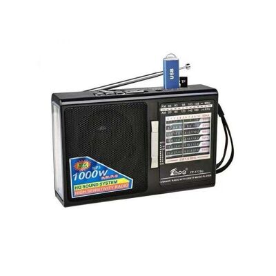 Radio recargable - FP-1775 - 017754 - Negro