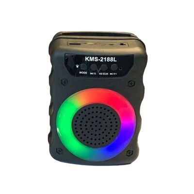 Haut-parleur Bluetooth sans fil – KMS-2188L - 885345