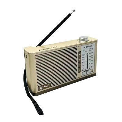 Rechargeable radio – PX-92BT - 000923 - Gold