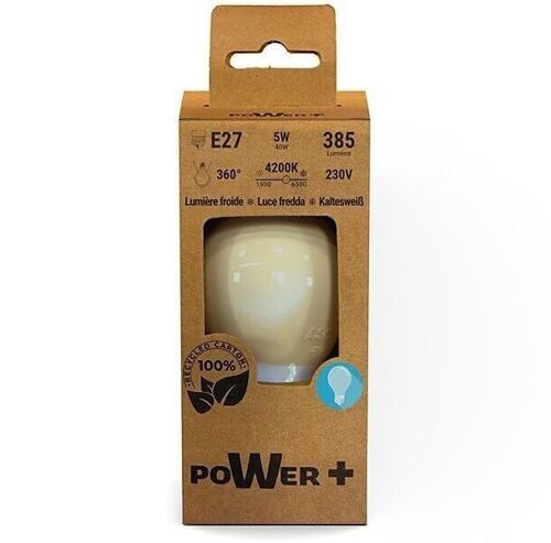 Ampoule led E27 5W 4200K