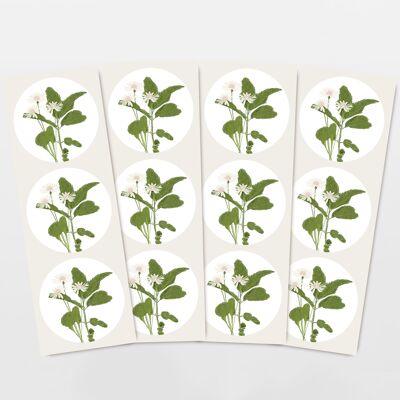 Sticker set with 12 daisy & mint stickers