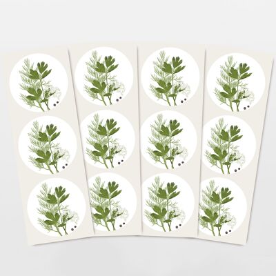 Set d'autocollants avec 12 autocollants aux herbes persil et aneth