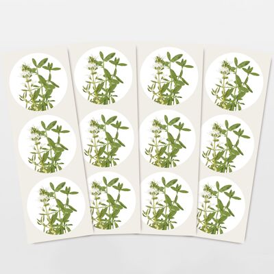 Set di adesivi con 12 adesivi alle erbe, timo e santoreggia