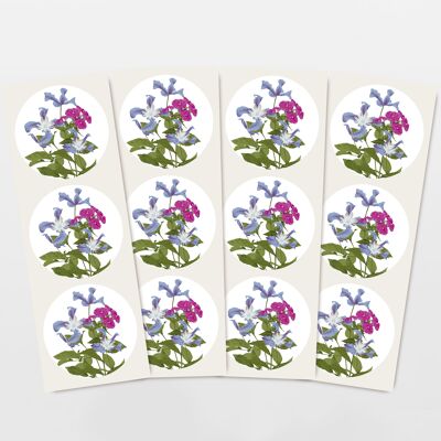 Set de pegatinas con 12 pegatinas de flores Clematis & Phlox