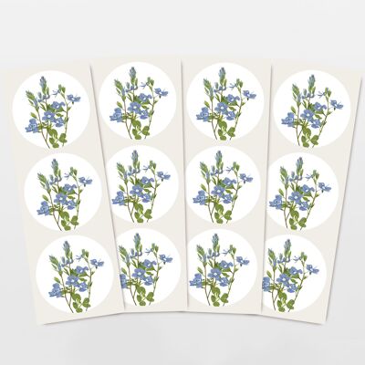 Set de pegatinas con 12 pegatinas de flores nomeolvides azules