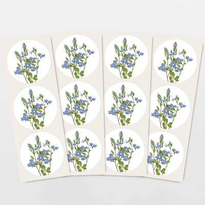 Aufkleber-Set mit 12 Blumen Aufklebern blaue Vergissmeinnicht