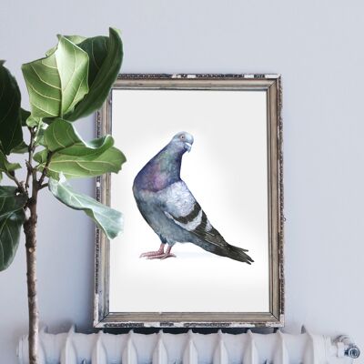 Sassy Pigeon stampa - 5 x 7 pollici
