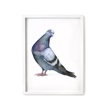 Impression de pigeon impertinent - 8 x 10 pouces [Ajouter 3,00 £] 2