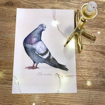 Impression de pigeon impertinent - 8 x 10 pouces [Ajouter 3,00 £] 3