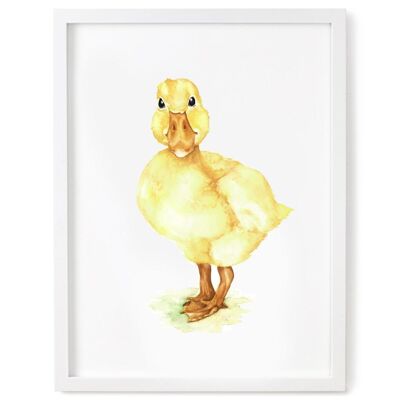Duckling Print - 5 x 7 Inches
