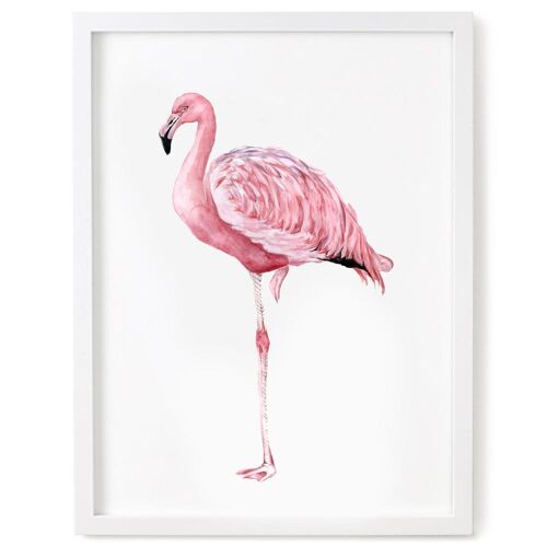 Flamingo Print - 5 x 7 Inches