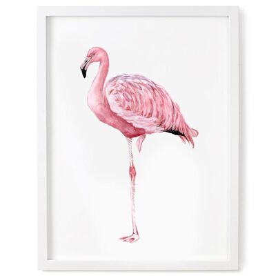 Flamingo-Druck - 8 x 10 Zoll [Add £ 3,00]