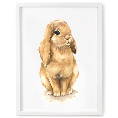 Brown Bunny Print - 5 x 7 Inches