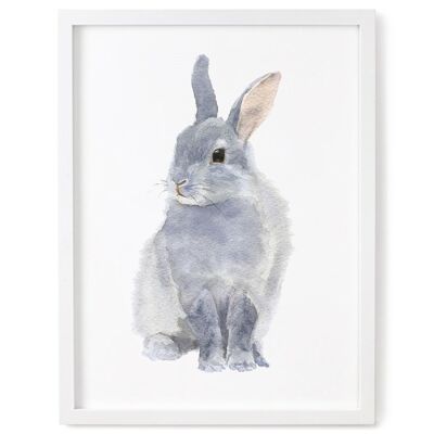 Impresión de conejo - 5 x 7 pulgadas