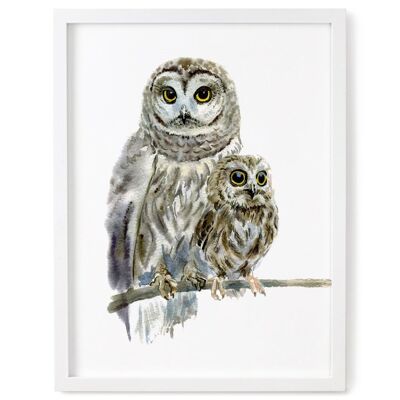 Owls Print - 5 x 7 Inches