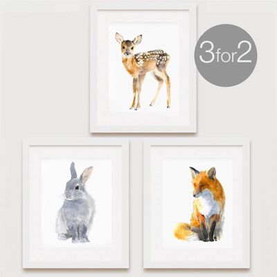 Woodland Animal Prints, 3 für 2 - 5 x 7 Zoll