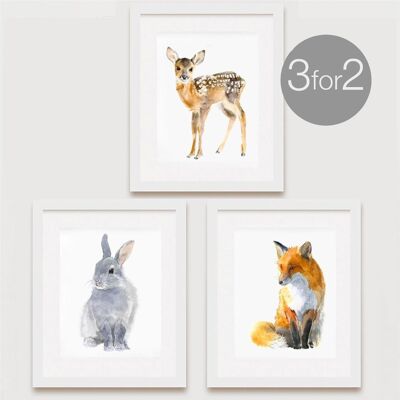 Woodland Animal Prints, 3 for 2 - 5 x 7 Inches