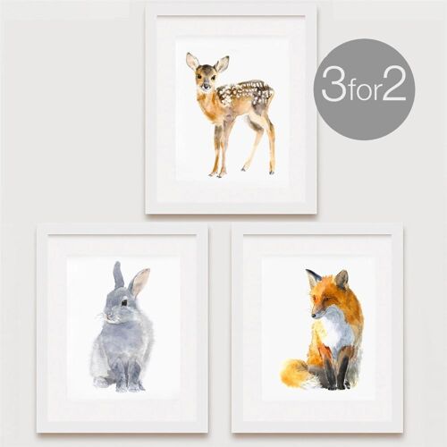 Woodland Animal Prints, 3 for 2 - 8 x 10 Inches [Add £6.00]