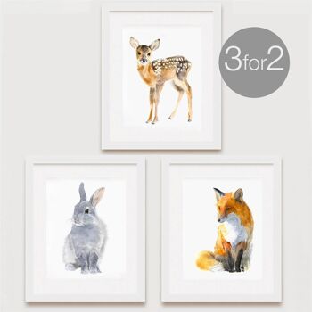 Woodland Animal Prints, 3 pour 2 - 11 x 14 pouces [Ajouter 30,00 £] 1