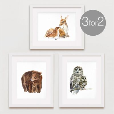 Estampados de animales para mamá y bebé, 3 por 2 - 11 x 14 pulgadas [Agregar £ 30.00]