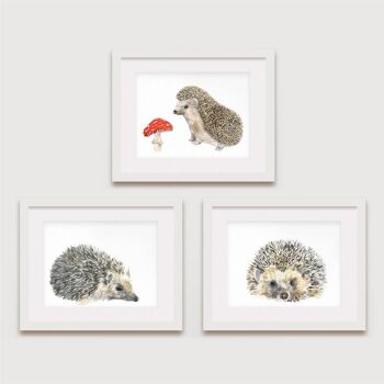 Hedgehog Prints, Hedgehog Family Set, 3 pour 2 - 8 x 10 pouces [Ajouter 6,00 £] 2