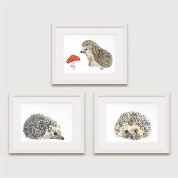 Hedgehog Prints, Hedgehog Family Set, 3 pour 2 - A4 [Ajouter 6,00 £] 2