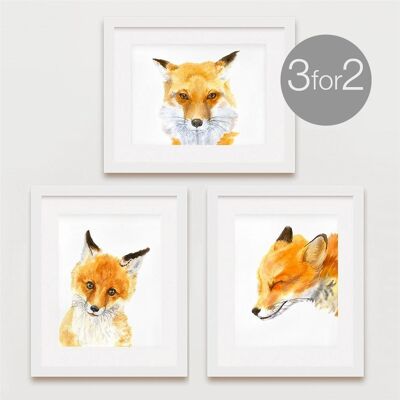 Fox Prints, Fox Family Set, 3 por 2 - 11 x 14 pulgadas [Agregar £ 30.00]