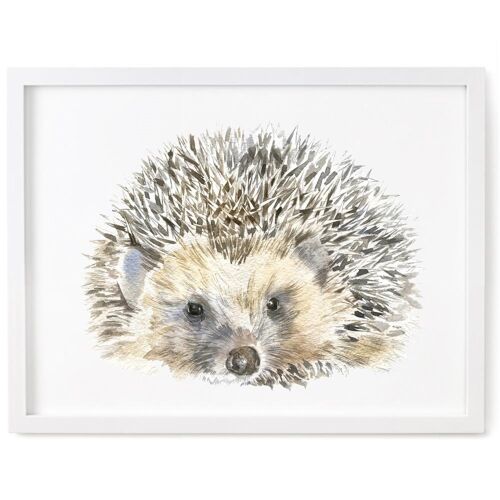 Hedgehog Print, Dad Hedgehog - 5 x 7 Inches