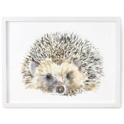 Hedgehog Print, Dad Hedgehog - 8 x 10 Inches [Add £3.00]