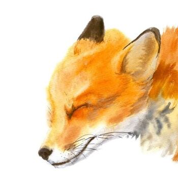 Renard Print, Mama Fox - 11 x 14 pouces [Ajouter 15,00 £] 2