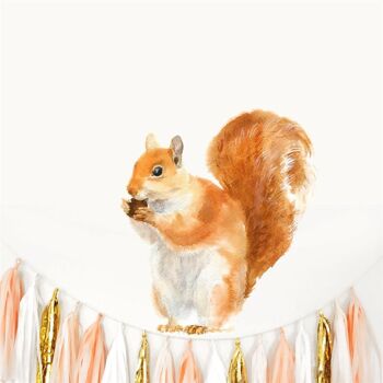 Sticker mural écureuil roux
