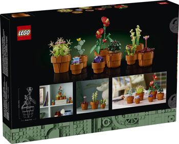 LEGO 10329 - Les Plantes Miniatures Icons 2